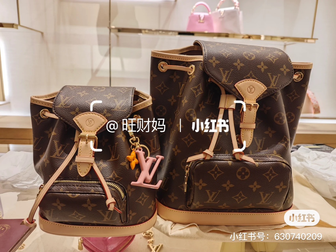 Louis Vuitton Bags Backpack