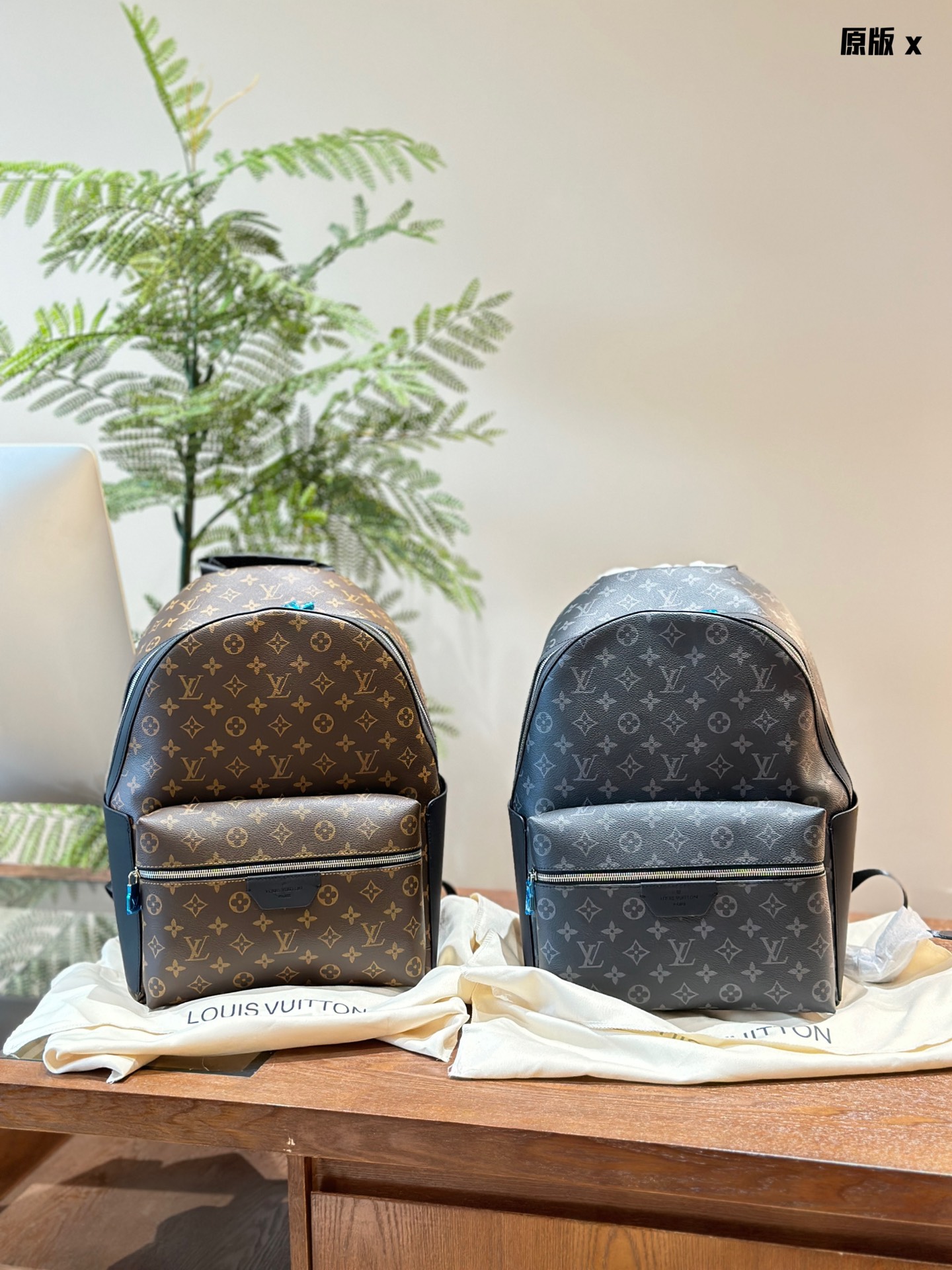 Louis Vuitton sacs Sac À Dos