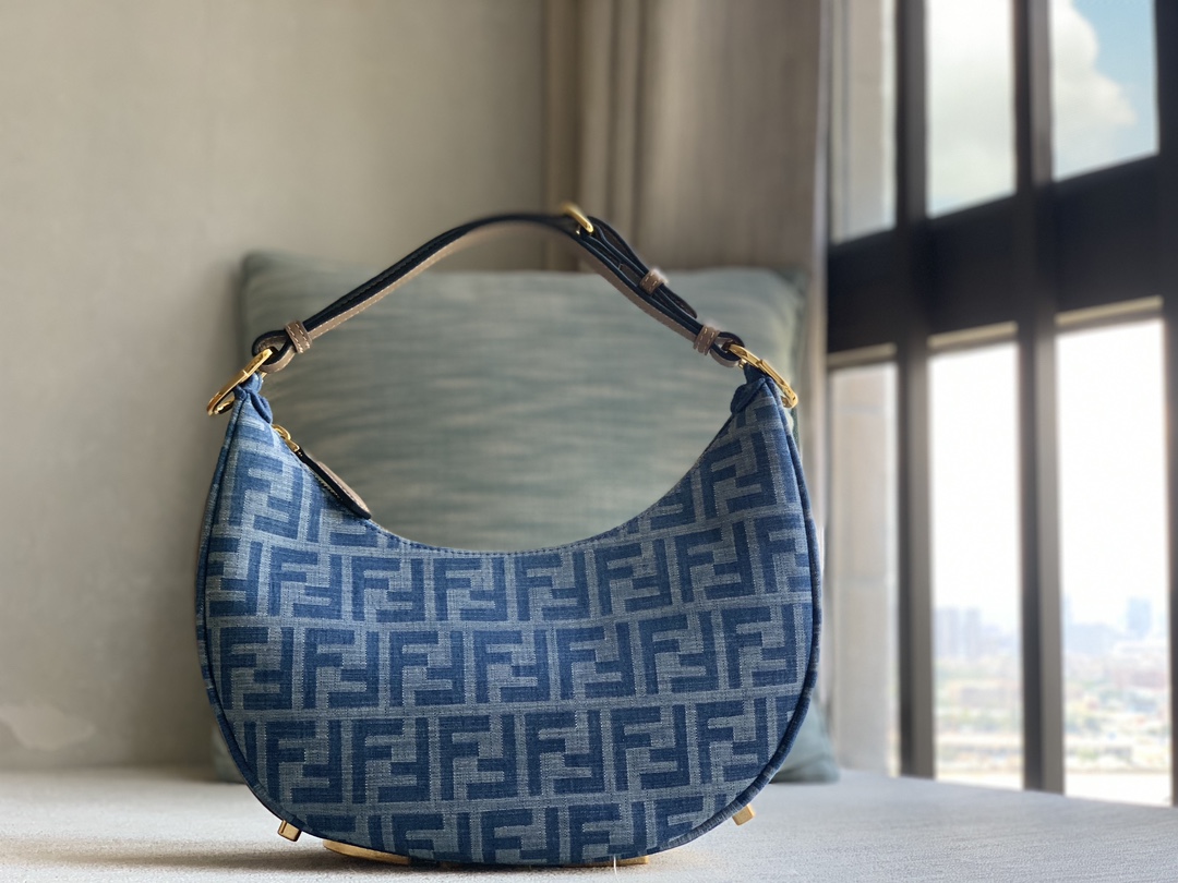 dior Fendigraphy Premium Picture Crescent Bag