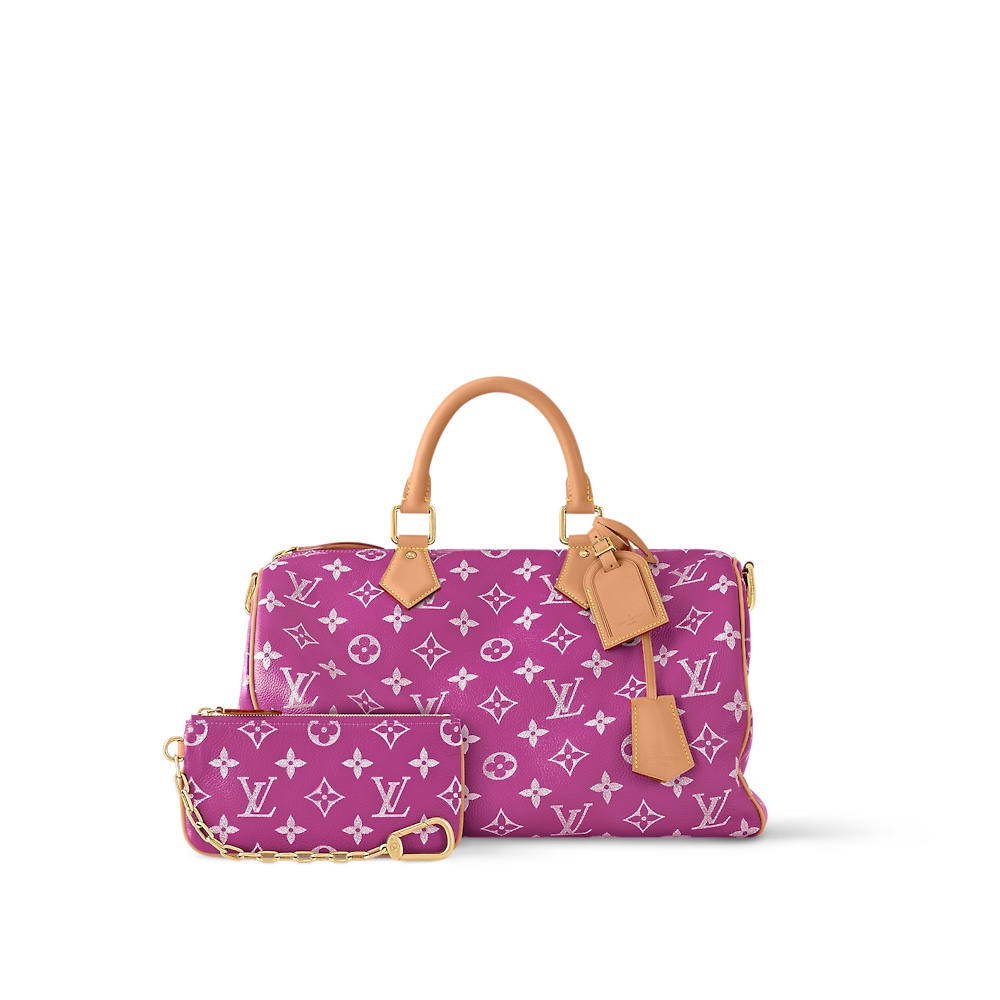 Louis Vuitton SPEEDY 手袋lv,包 4