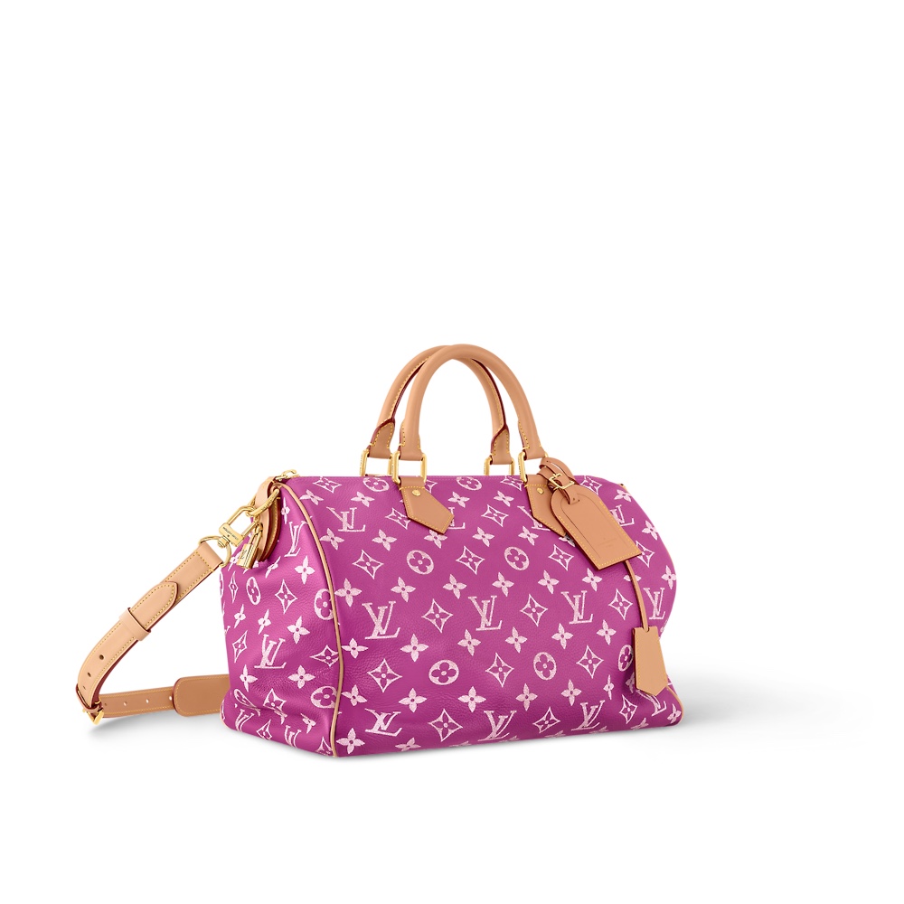 Louis Vuitton SPEEDY 手袋lv,包 2