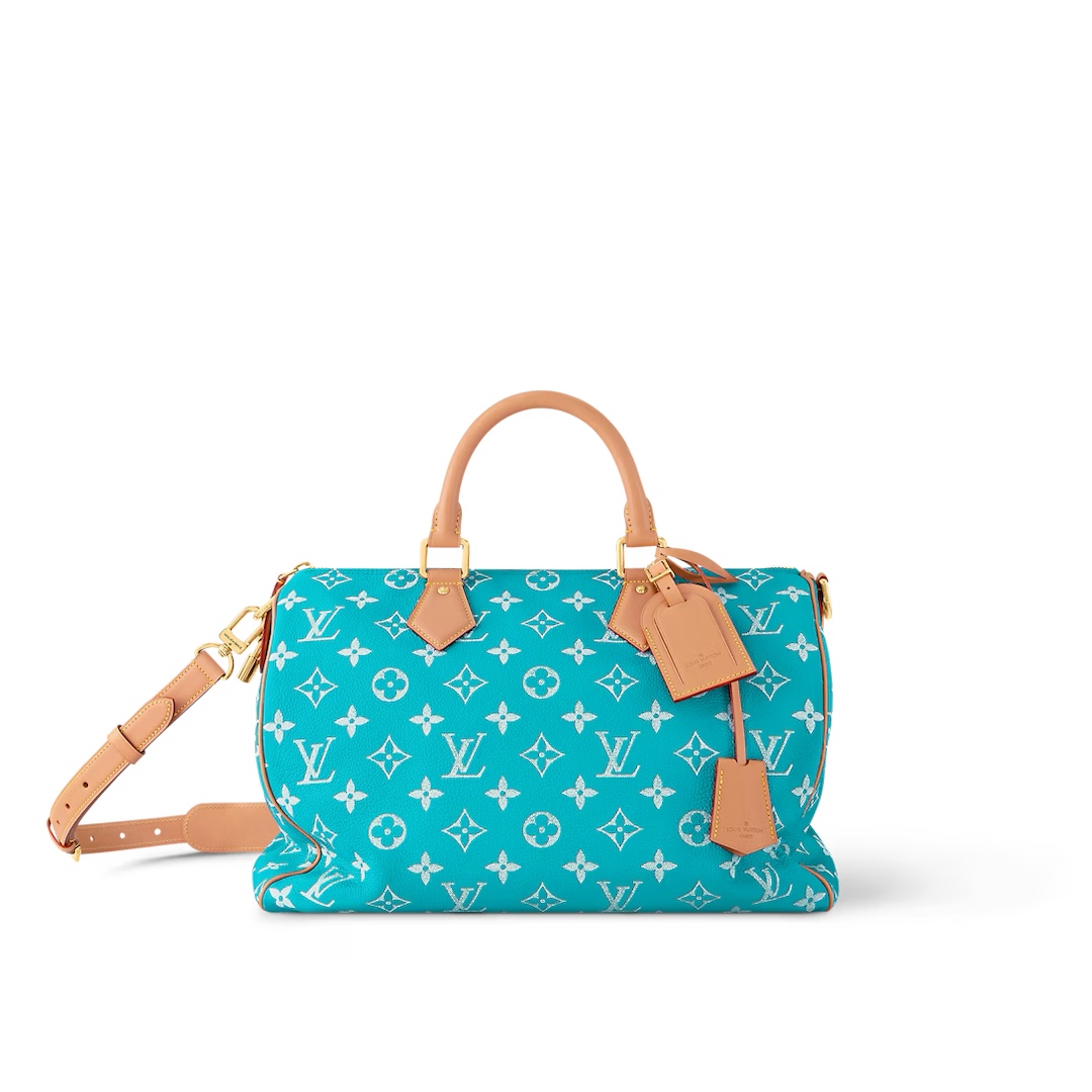 루이비통 M11564 가방 Louis Vuitton Bag