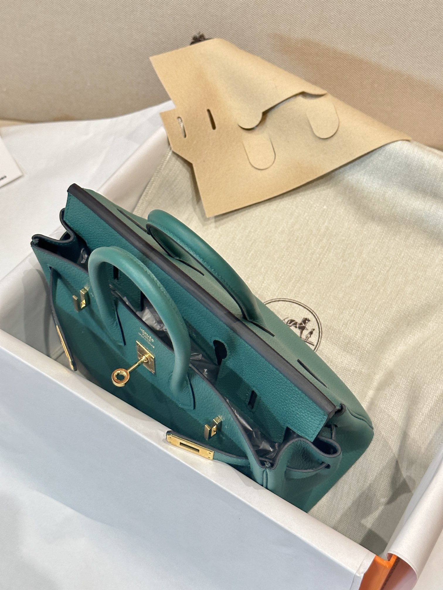 Hermes Birkin 25 Green Togo 25 handbag everyday