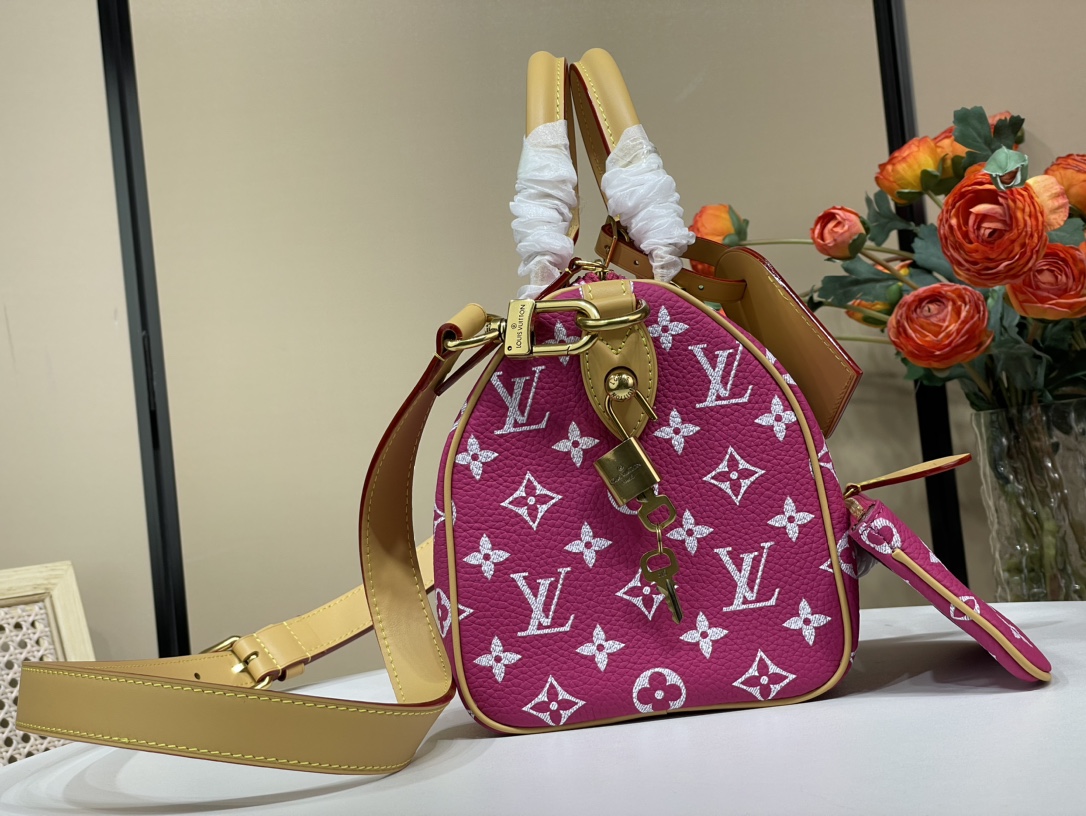 Louis Vuitton Speedy 手袋lv,包 2