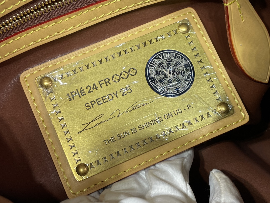 Louis Vuitton Speedy 手袋lv,包 8