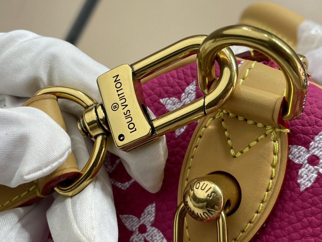 Louis Vuitton Speedy 手袋lv,包 4