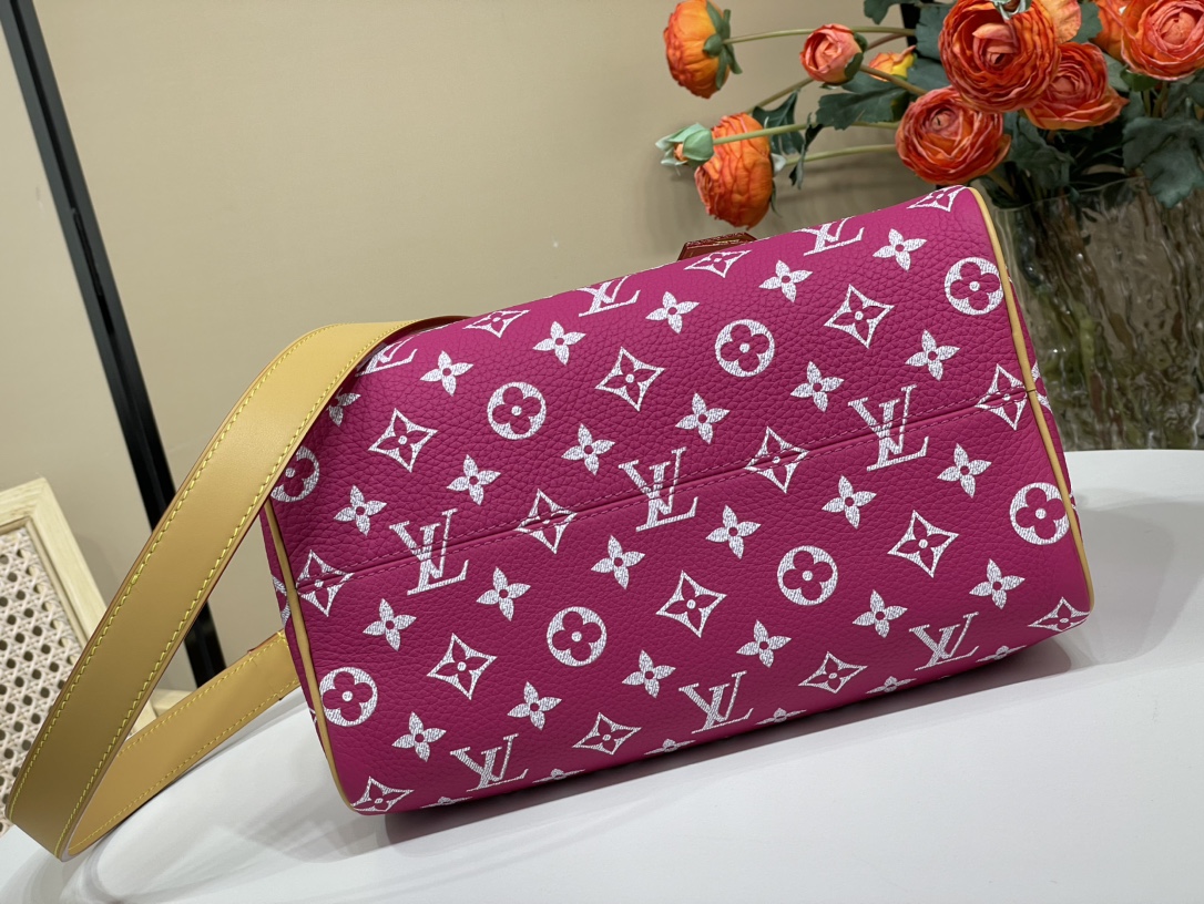 Louis Vuitton Speedy 手袋lv,包 9