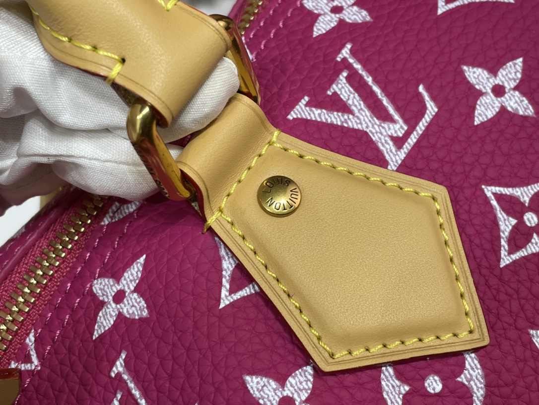 Louis Vuitton Speedy 手袋lv,包 5