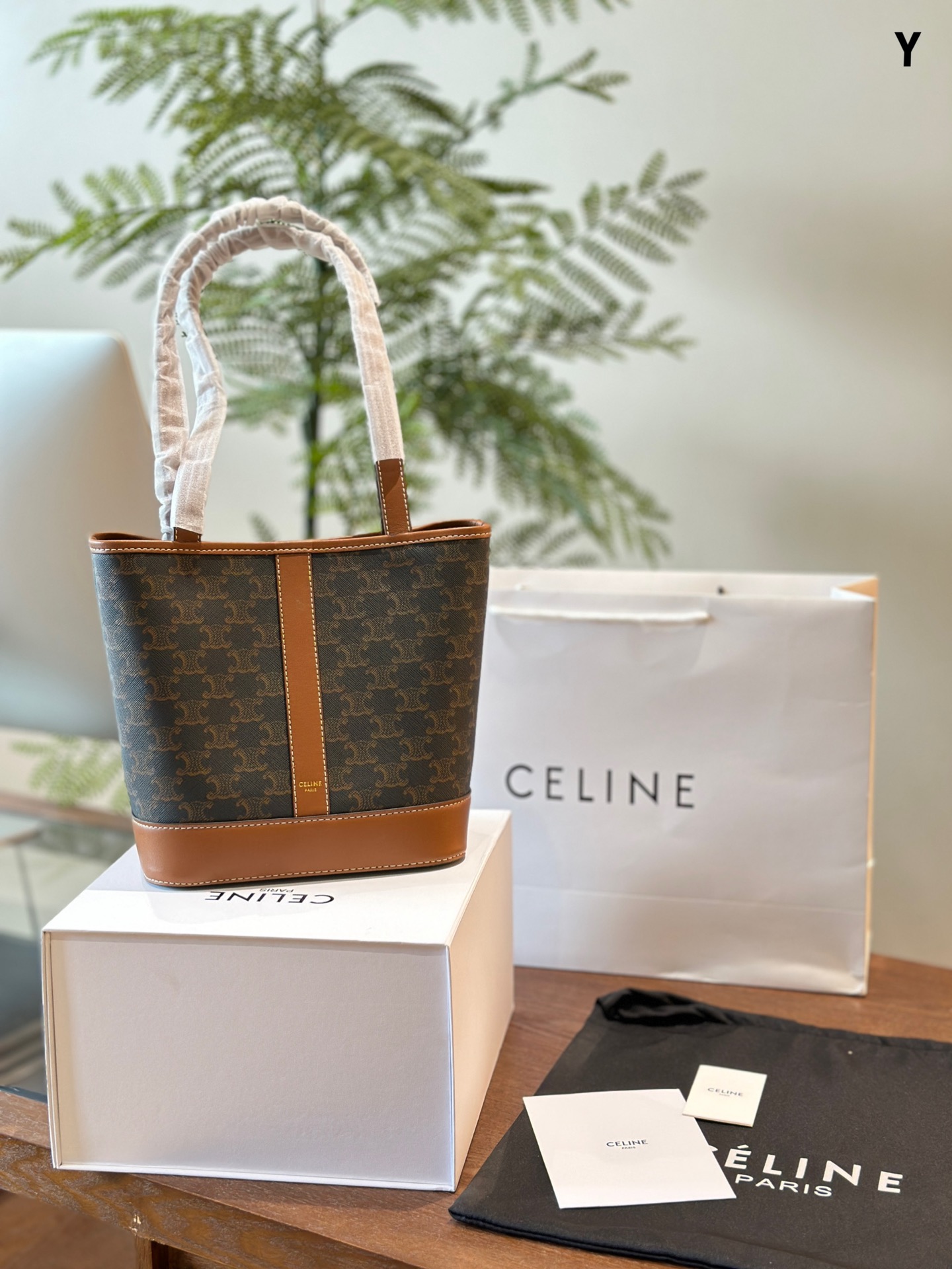 Celine Bucket Bags