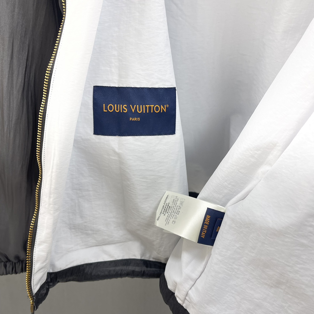 Louis Vuitton Haute Couture Haute Couture Ready-to-Wear Clothing Dress 9