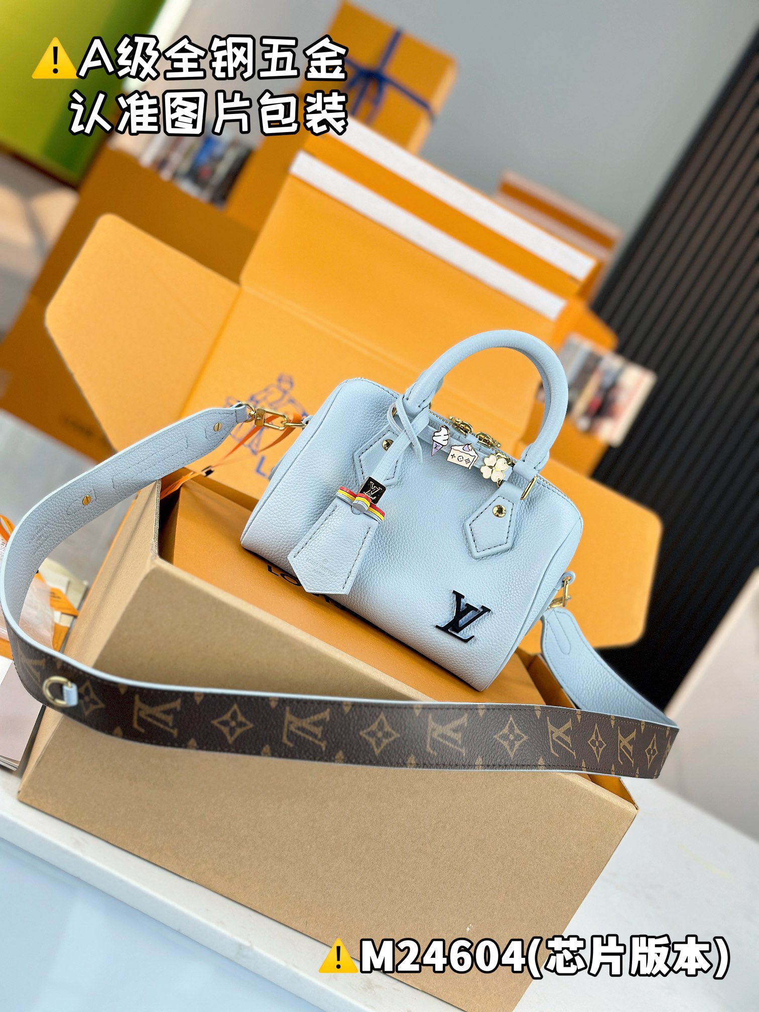 Louis Vuitton LV Speedy