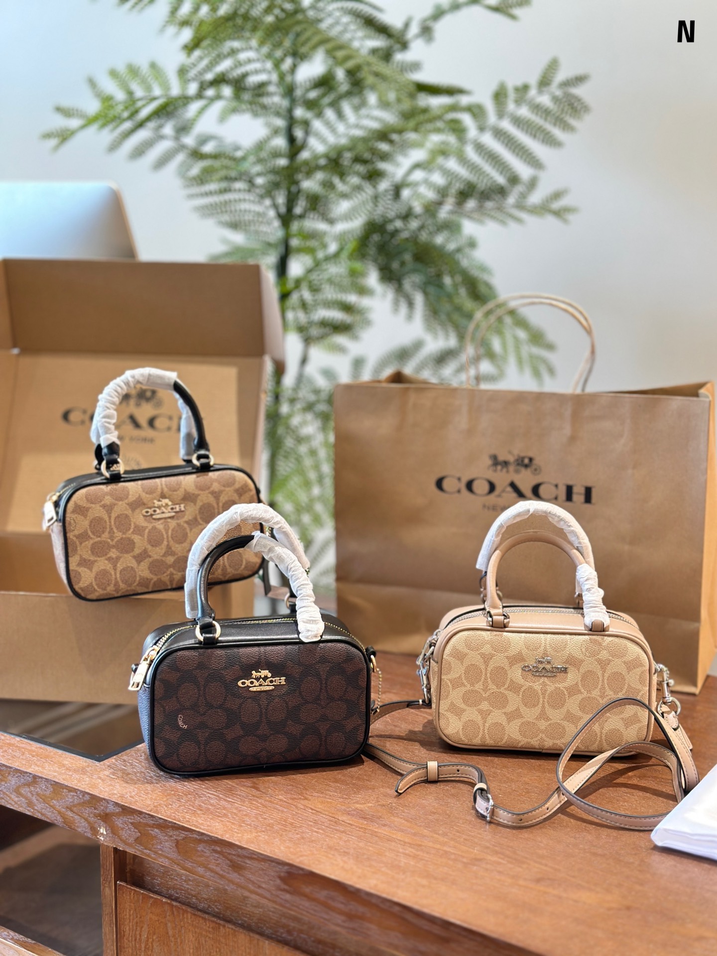 Coach Camera Bags