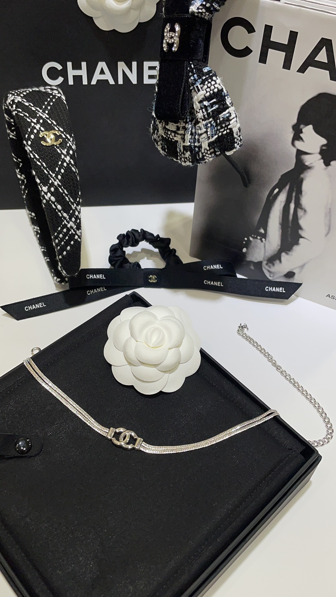 Chanel 𝑪𝒉𝒂𝒏𝒆𝒍 24B银色双C蛇骨链双层项链choker