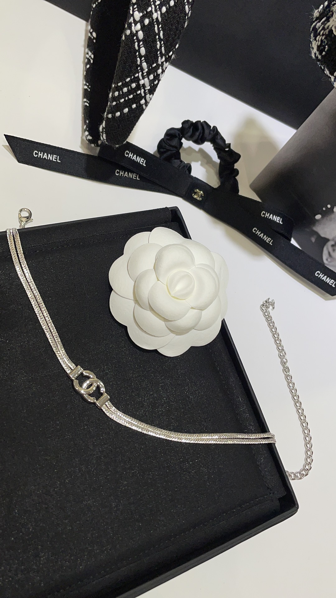 Chanel 𝑪𝒉𝒂𝒏𝒆𝒍 24B银色双C蛇骨链双层项链choker