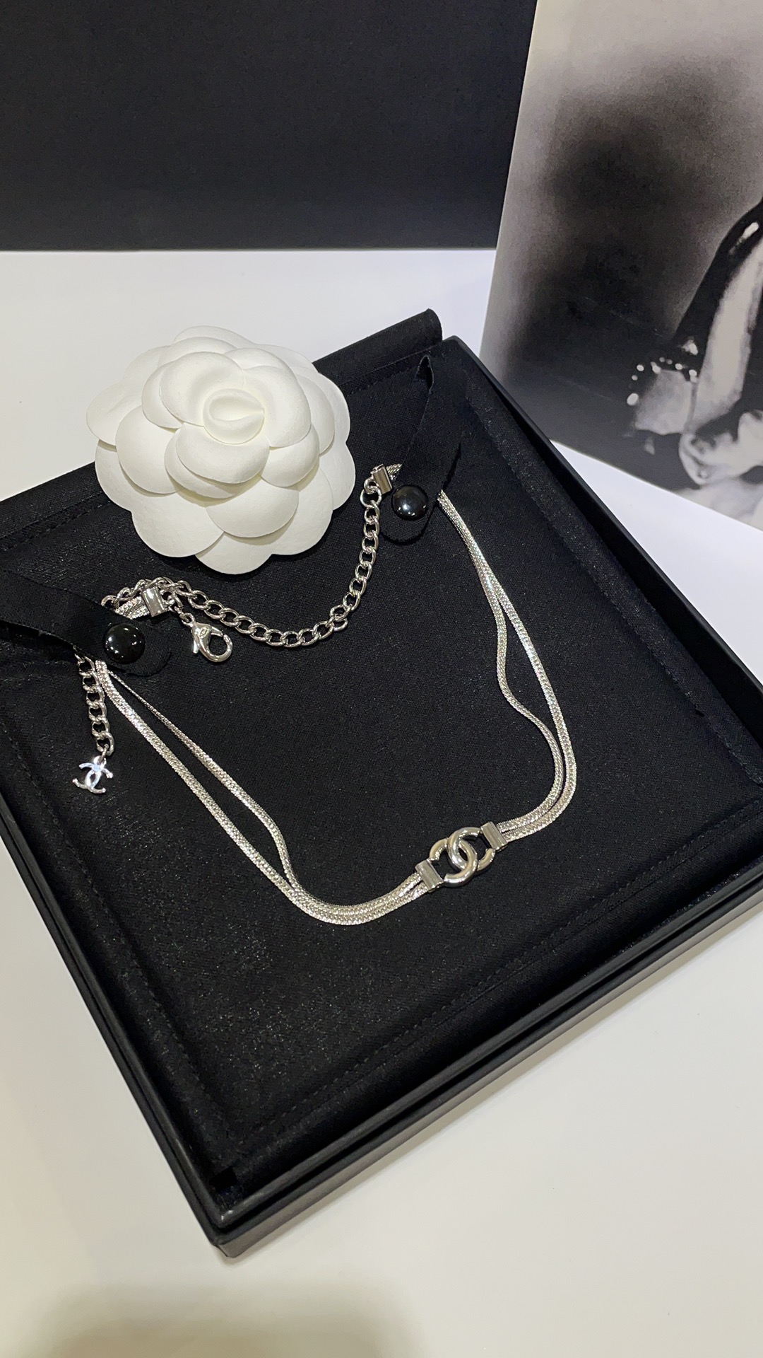 Chanel 𝑪𝒉𝒂𝒏𝒆𝒍 24B银色双C蛇骨链双层项链choker