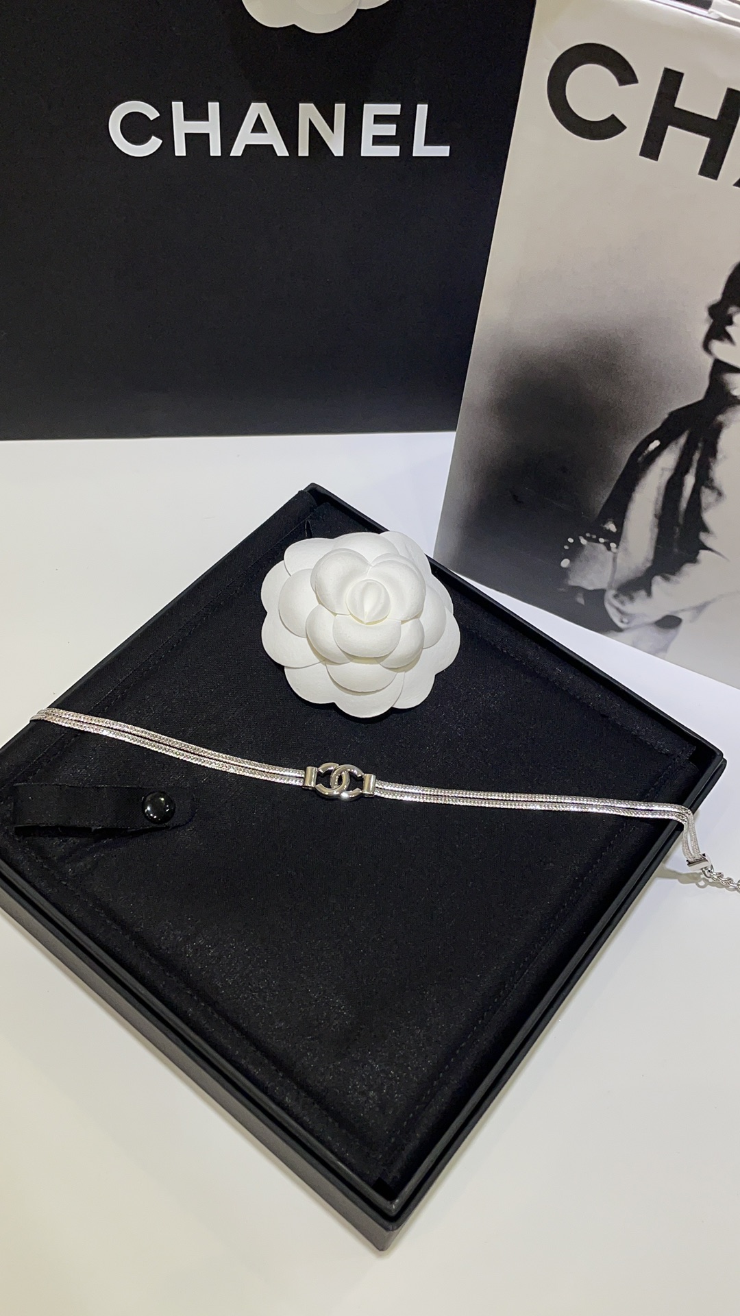 Chanel 𝑪𝒉𝒂𝒏𝒆𝒍 24B银色双C蛇骨链双层项链choker