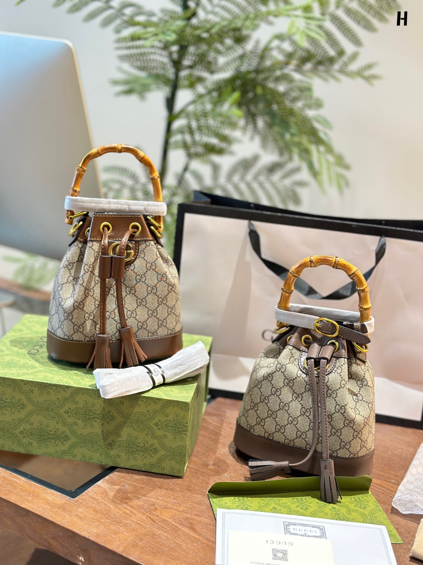 Gucci Ophidia Bucket Bags Cowhide Spring/Summer Collection