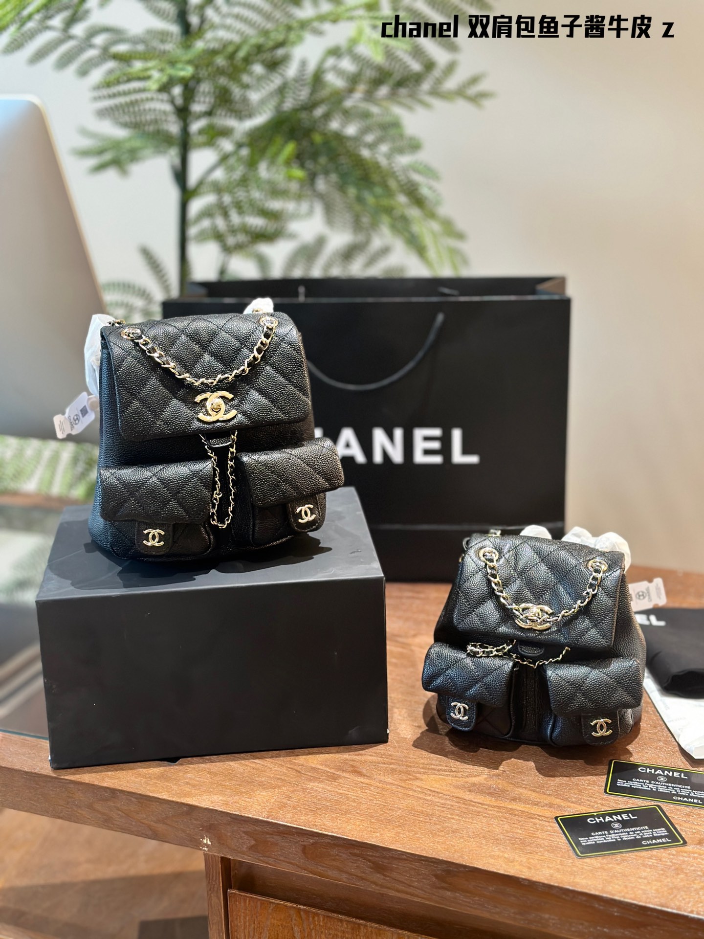 Chanel Duma Bags Backpack