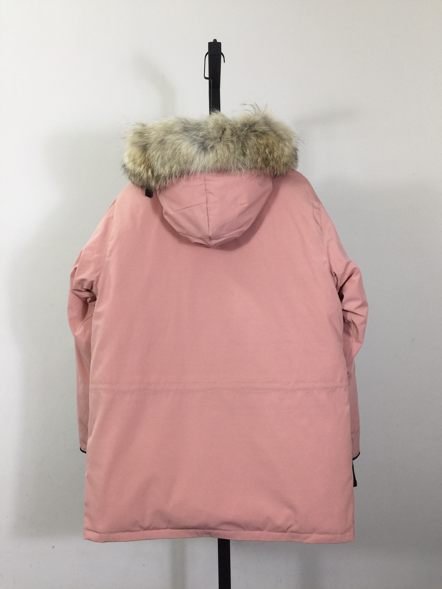 [Premium Women