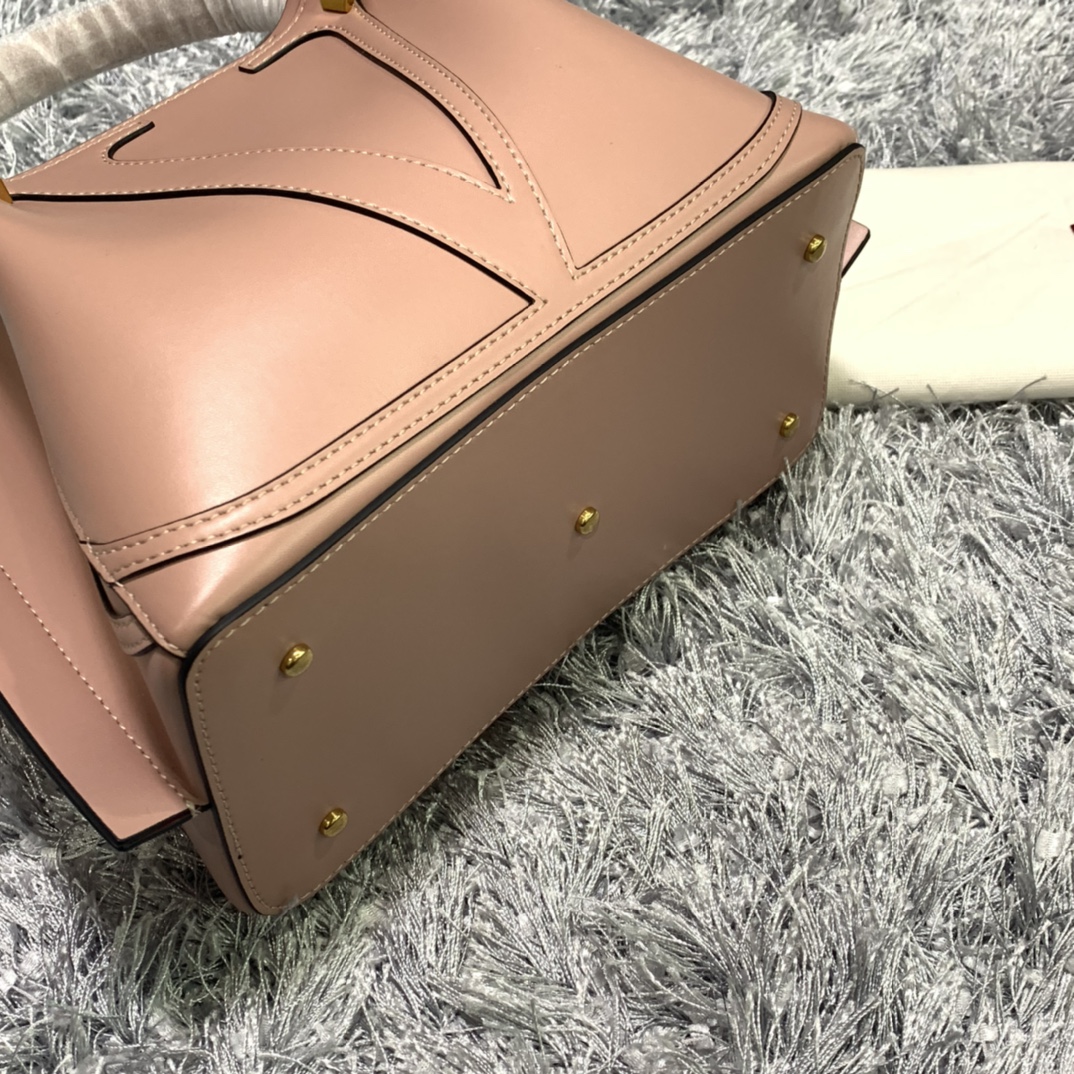 Celine Luxury Handbag Collection 5