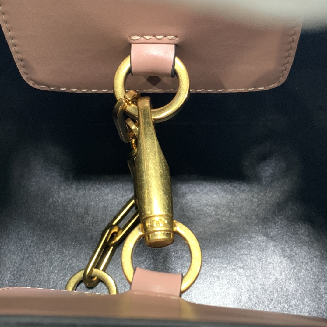 Celine Luxury Handbag Collection 8