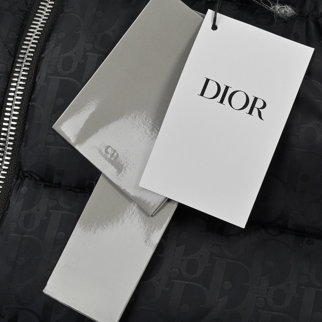 迪奥/Dior 秋冬新款 老花满印暗纹字母羽绒服