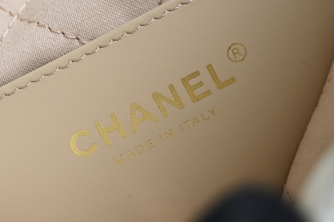 白金版▪️正品级 包装如图全新升级版🌿𝐂𝐡𝐚𝐧𝐞𝟏迷你𝟐𝟐𝐁𝐚𝐠𝖠𝗇𝗍𝗂𝖻𝖺 𝗓𝗉皮𝖬𝗂𝗇𝗂 𝟤𝟤♥白金