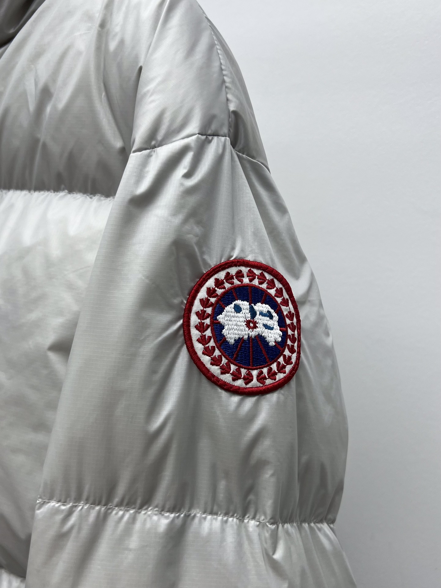 High-Quality Women’s Suit with Canada Goose Feathers for Warmth and Comfort - 图片 4