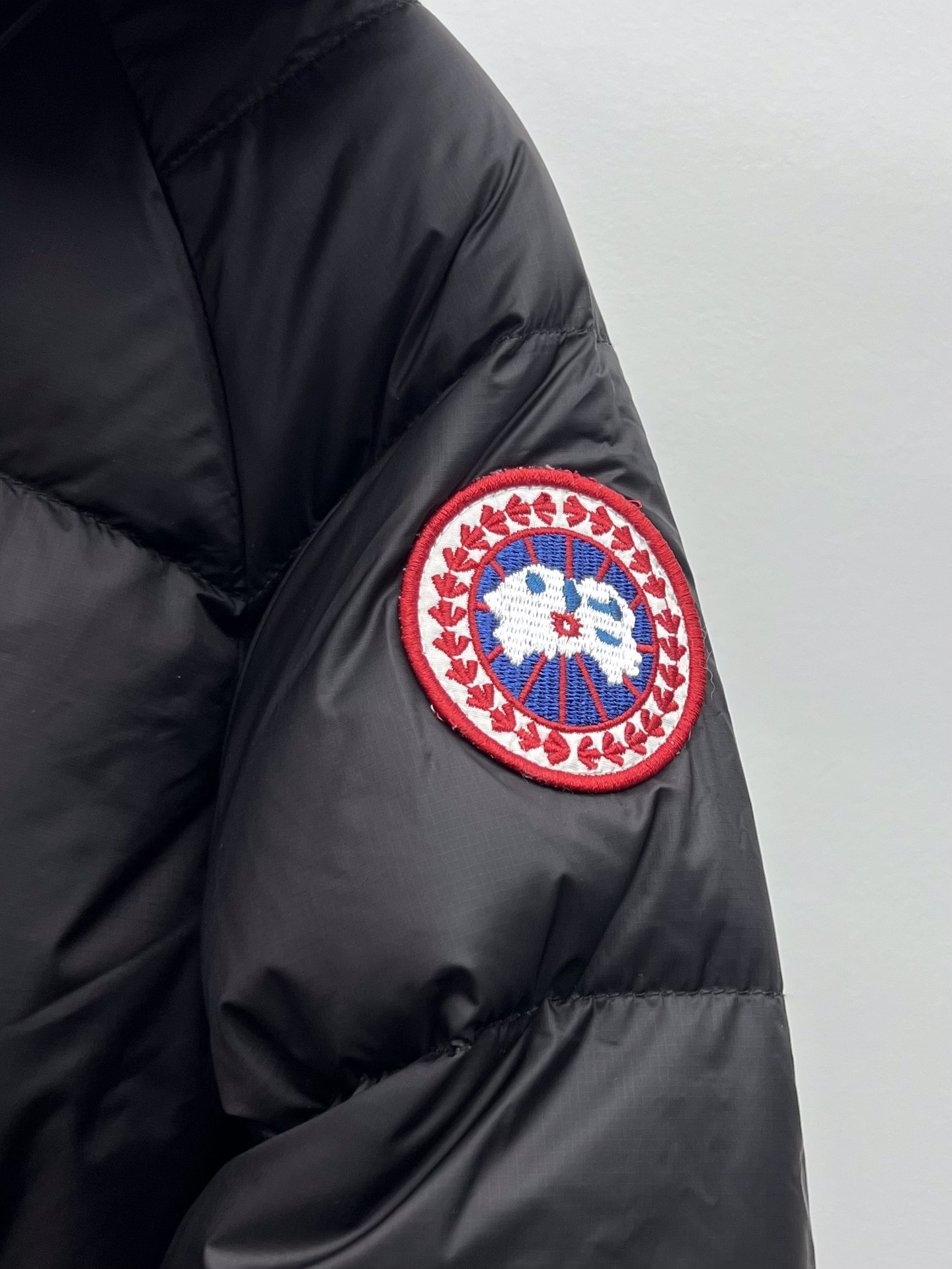 Stylish Cypress Fowl Hooded Jacket with Dust-Proof Bag and Duck Filling - 图片 3