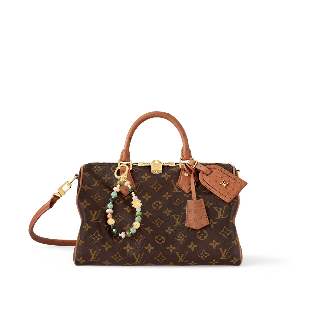 Louis Vuitton LV Speedy Tassen handtassen N12243