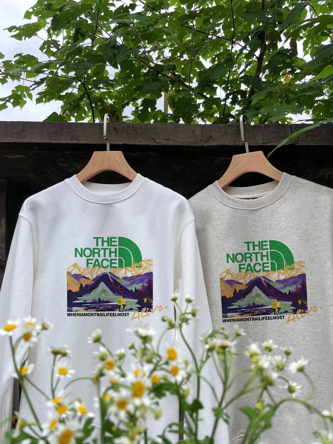 TNF Velvet Coat: Stylish, Customizable, High Quality, Various Colors, Multiple Sizes. - 图片 8