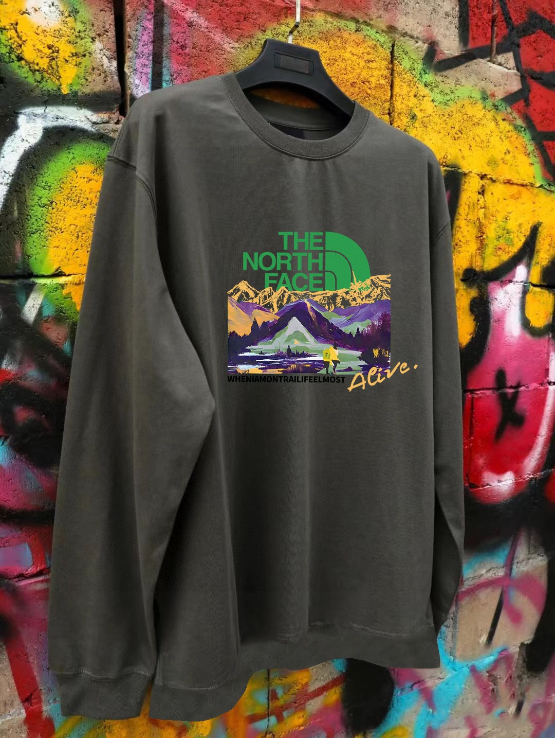 TNF Velvet Coat: Stylish, Customizable, High Quality, Various Colors, Multiple Sizes. - 图片 9