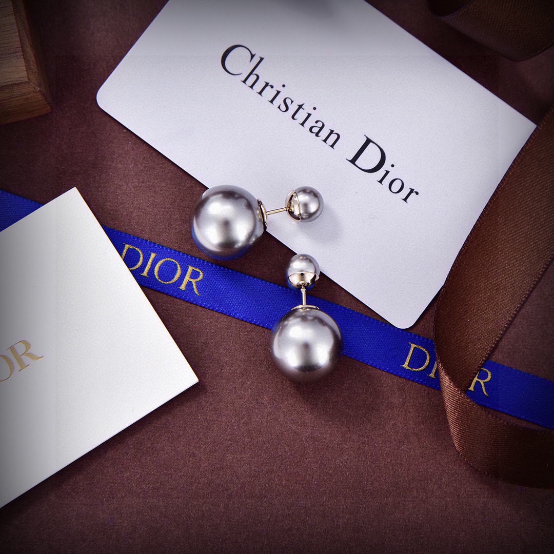CD Logo Earrings - Comprehensive