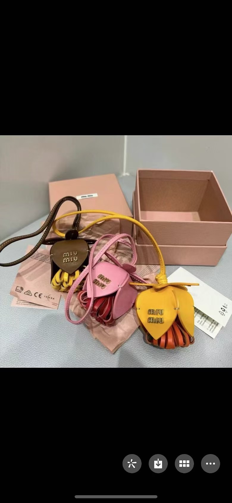 Miu Miu bag 6