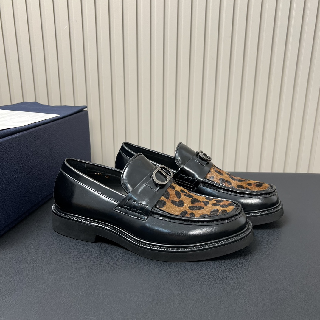 Dior Luxury Footwear Collection 2