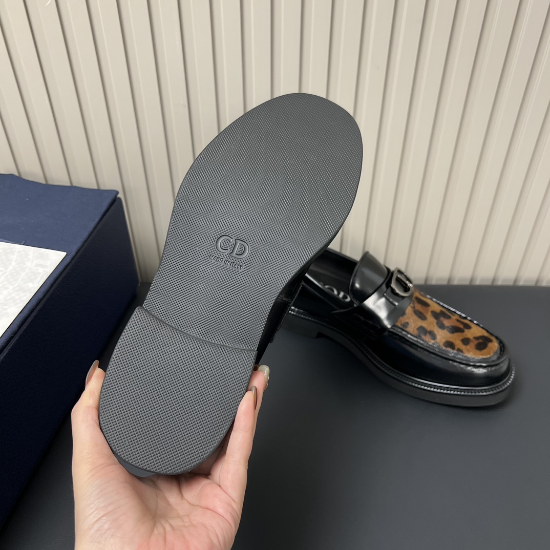 Dior Luxury Footwear Collection 8