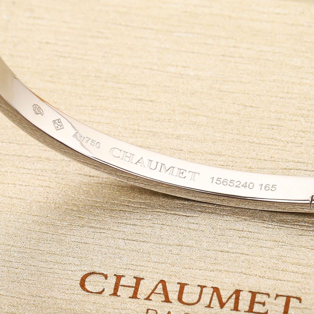Symbolic Gold Bracelets: Lifetime Series of Evidence Vows - 图片 5