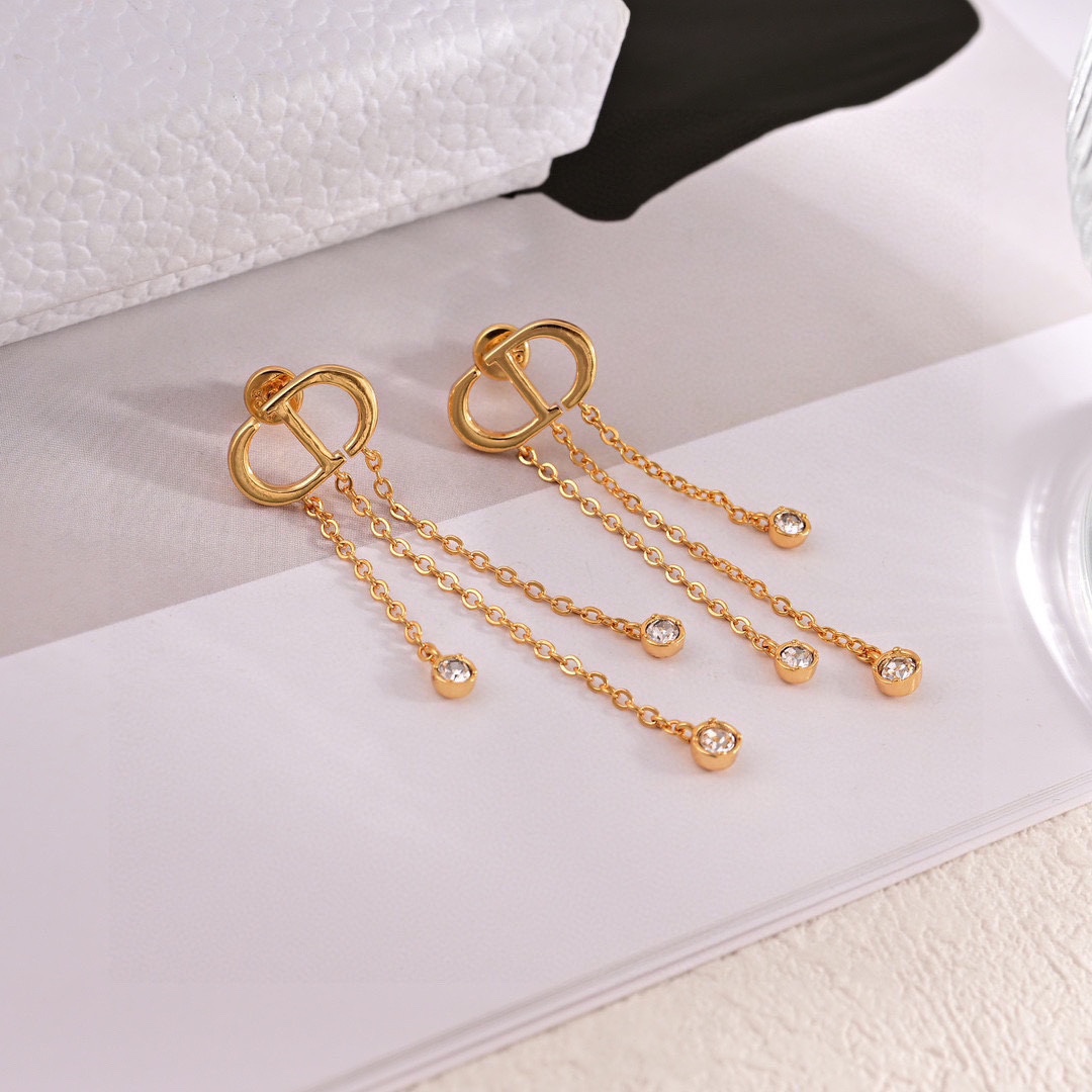 Dior luxury earrings 6