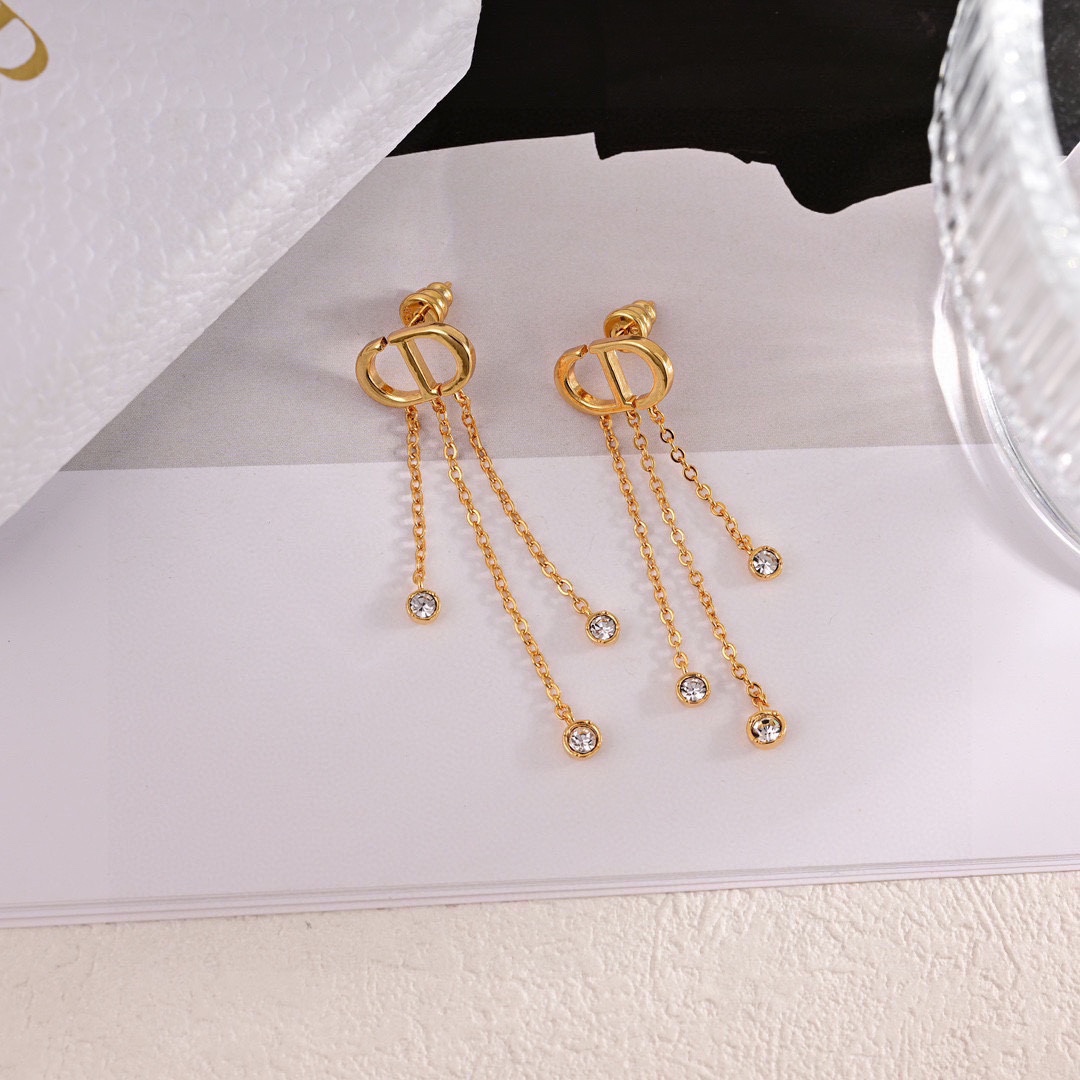 Dior luxury earrings 5