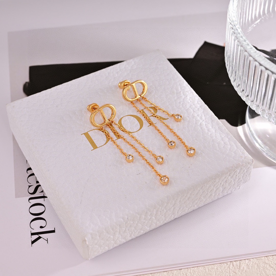 Dior luxury earrings 7