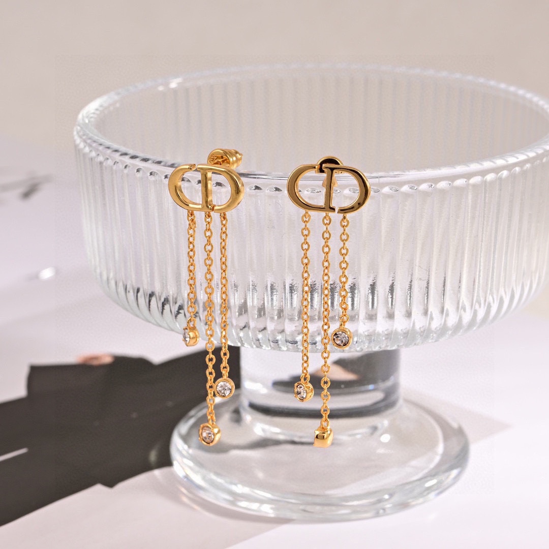 Dior luxury earrings 4