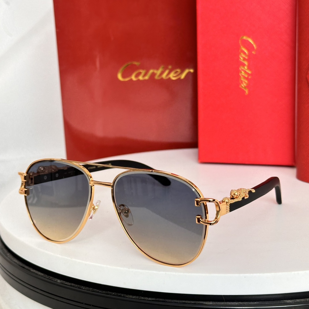 ️Cartie*MODELCT0559SSIZE:55口20-143