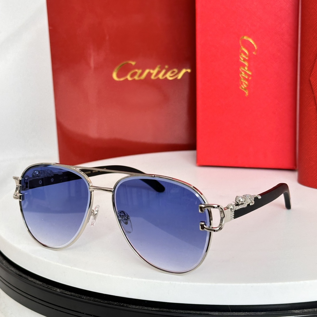 ️Cartie*MODELCT0559SSIZE:55口20-143