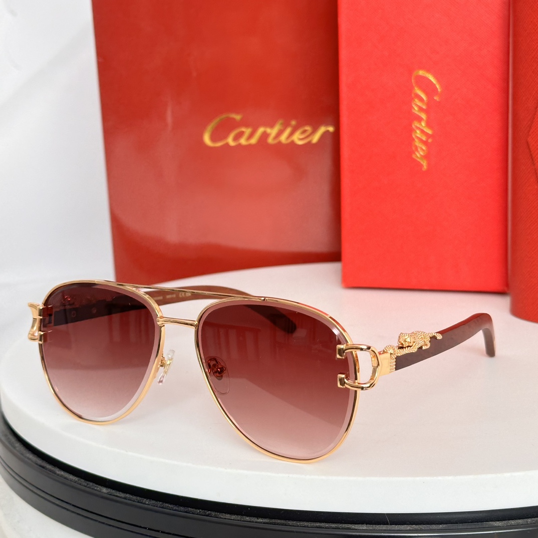 ️Cartie*MODELCT0559SSIZE:55口20-143