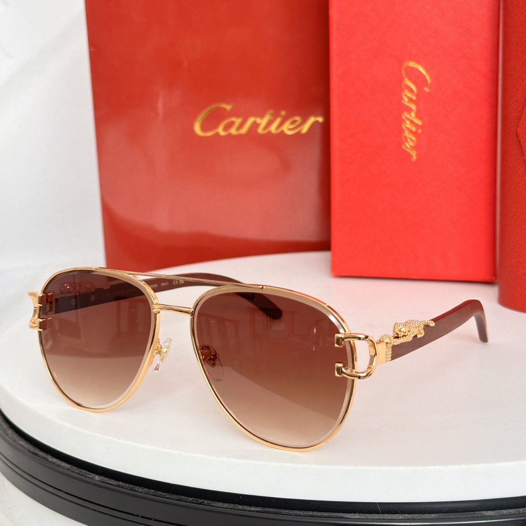 ️Cartie*MODELCT0559SSIZE:55口20-143