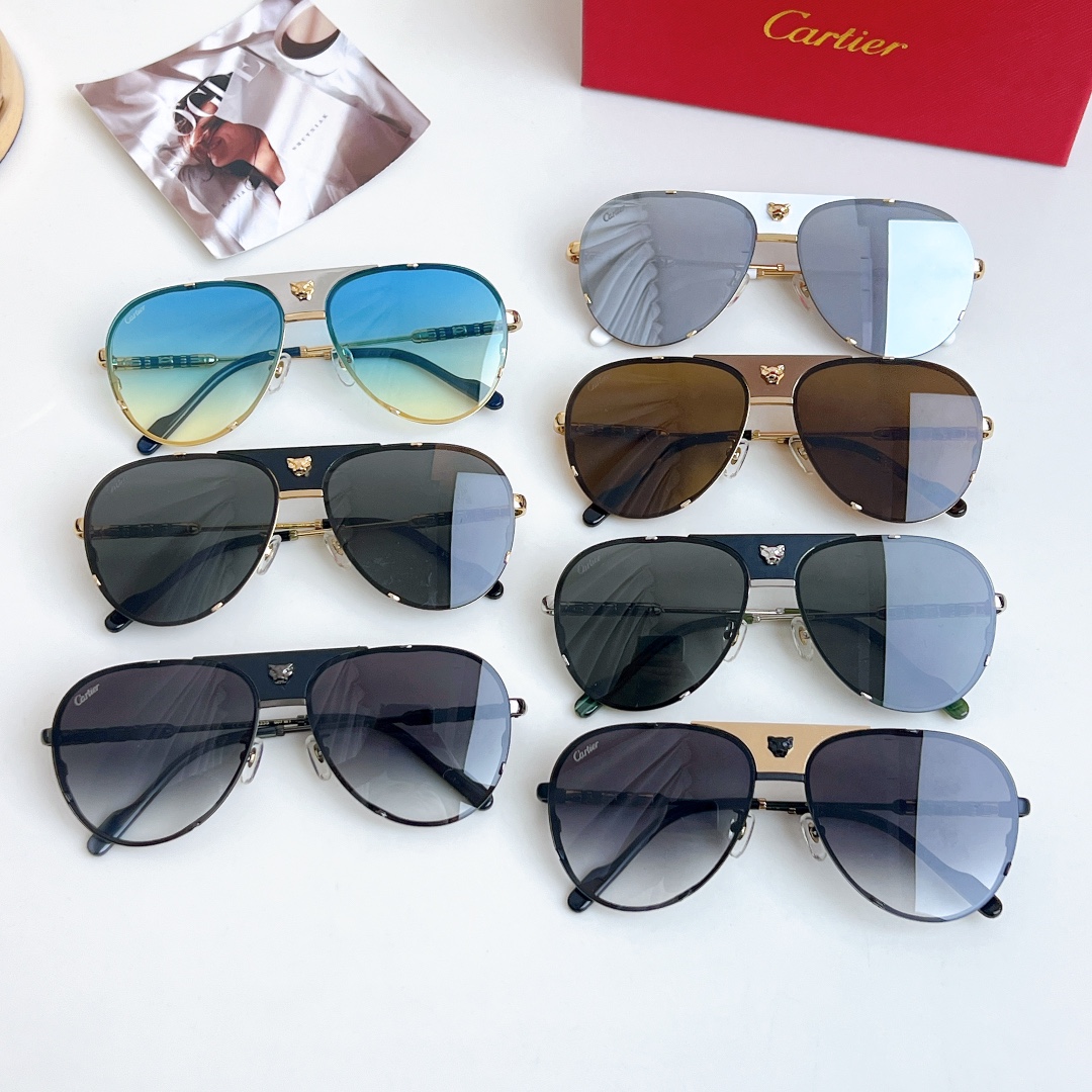 까르띠에 선글라스 72389 Cartier Sunglasses