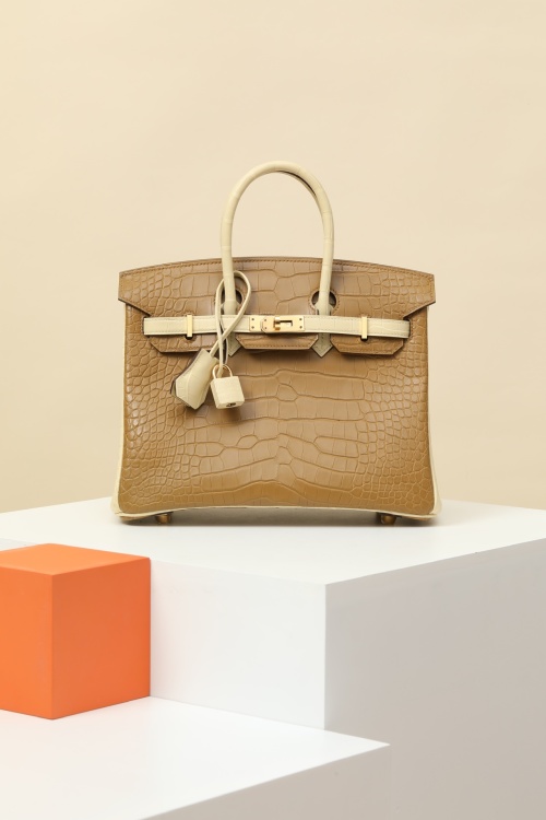 Exotic Birkin 25cm Handbag: Vanilla & Kraft Alligator Leather with Gold Hardware 1 Exotic Birkin 25cm Handbag: Vanilla & Kraft Alligator Leather with Gold Hardware