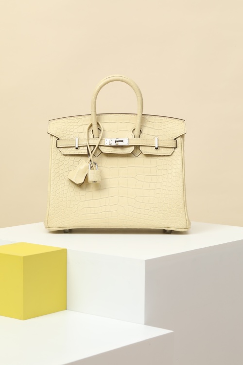 Exotic Birkin 25 Vanilla Alligator Handbag with Palladium Hardware 1 Exotic Birkin 25 Vanilla Alligator Handbag with Palladium Hardware