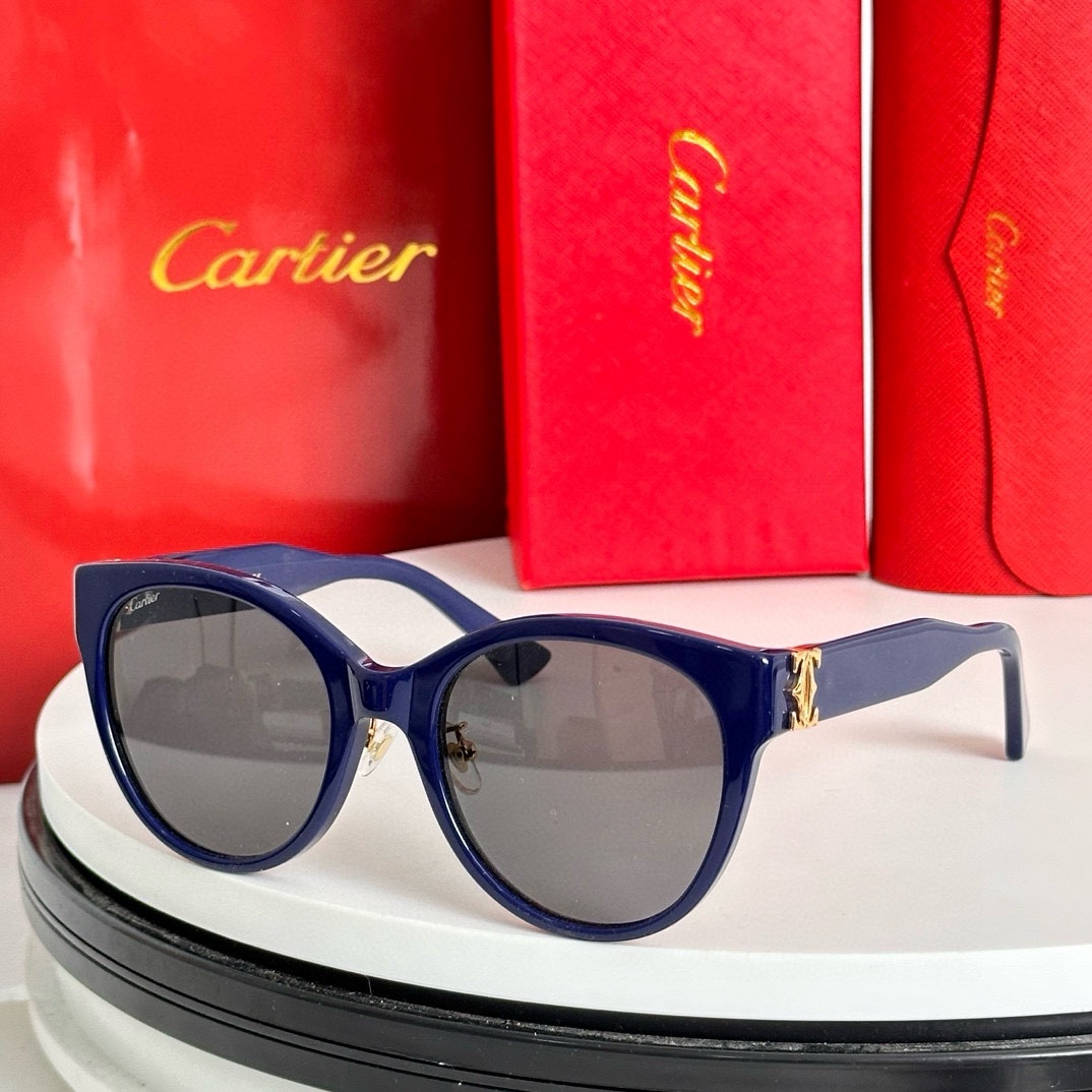 ️Cartie*MODELCT0438SASIZE:55口22-140