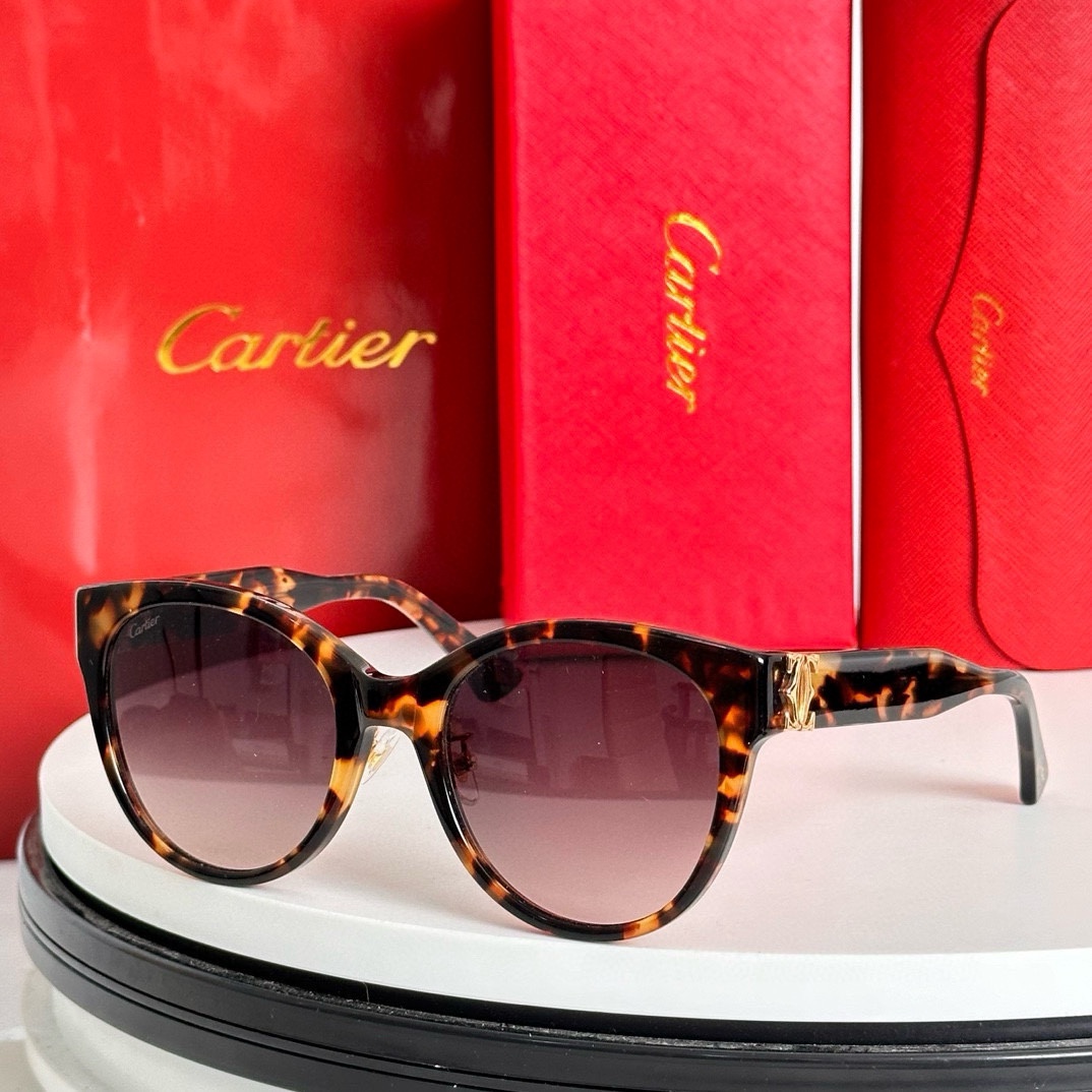 ️Cartie*MODELCT0438SASIZE:55口22-140